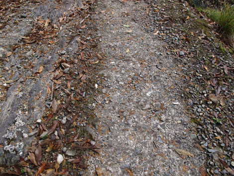 20131124hike (66)